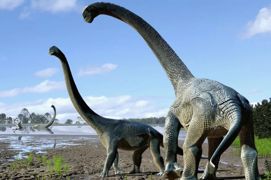 Dinosaurio2
