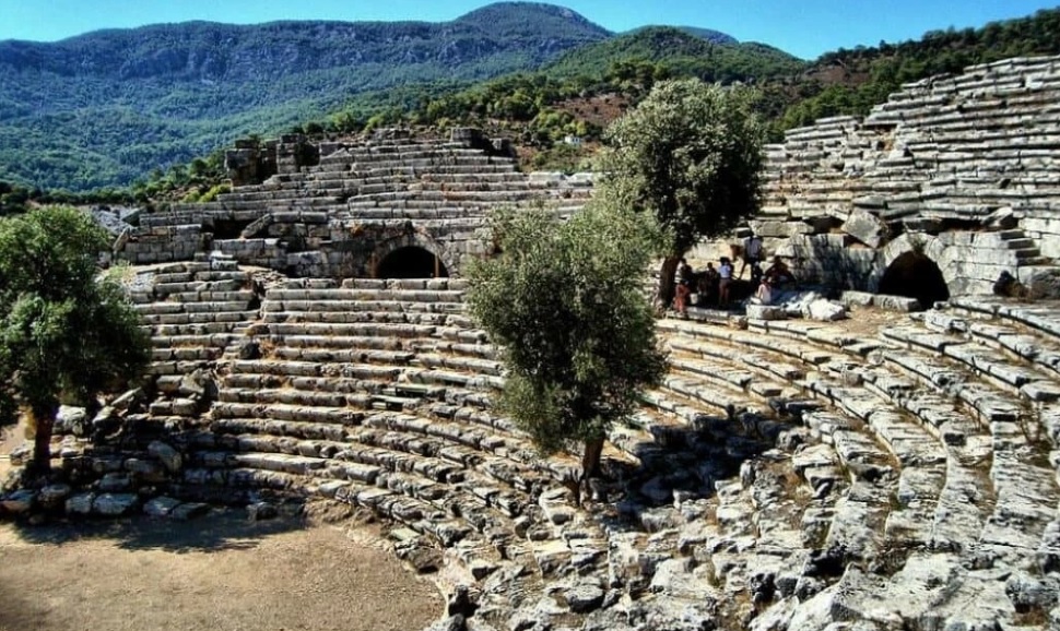 Cauno4