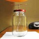 ¿Cómo construir un electroscopio casero? Pasos para lograrlo