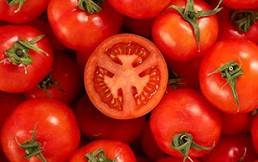 ¿Cuáles son los beneficios de comer tomate? Conoce 7 datos