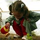 Jardinería para niños: conexión con la naturaleza