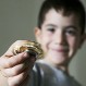Fidget Spinner: ¿Es beneficioso o perjudicial para los niños el juego que es furor mundial?