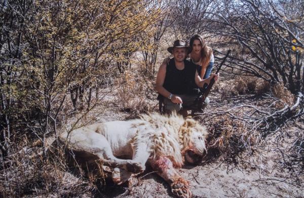 vanucci-caza-leones