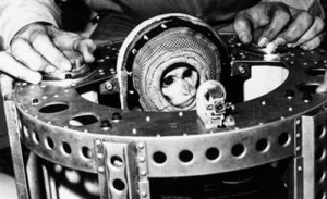 Mono astronauta Mono astronauta