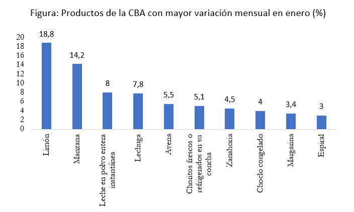 canasta-basica-alza-2