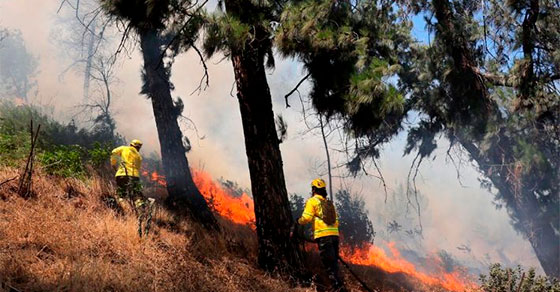 incendios-intencionales-sanciones-1