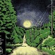 La “Luz de Paulding”: El enigmático fenómeno que se ve hace 50 años en un bosque de EE.UU.