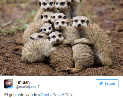 bachelet-renuncia-ministros-memes-12