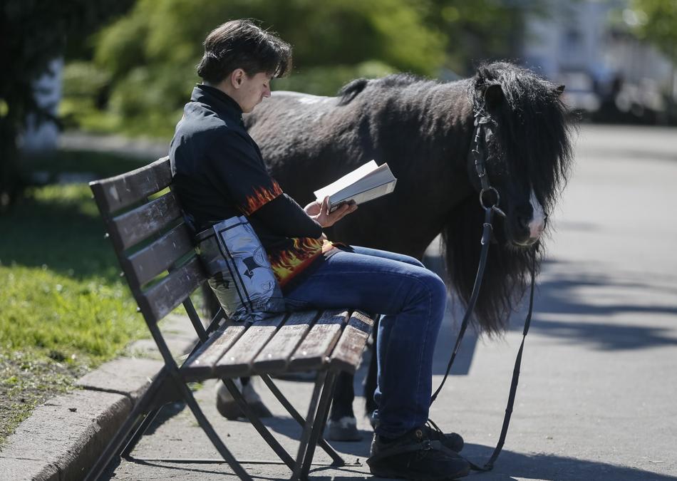 Un poni.