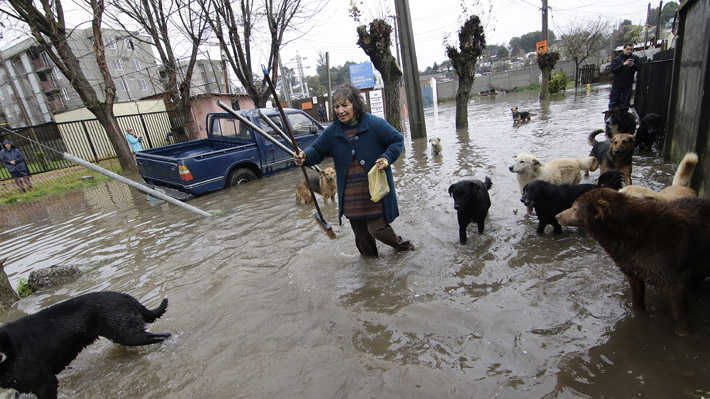 Temporal Chile
