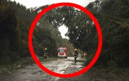 Fotos del intenso temporal en el sur de Chile: Inundaciones, árboles caídos y derrumbes
