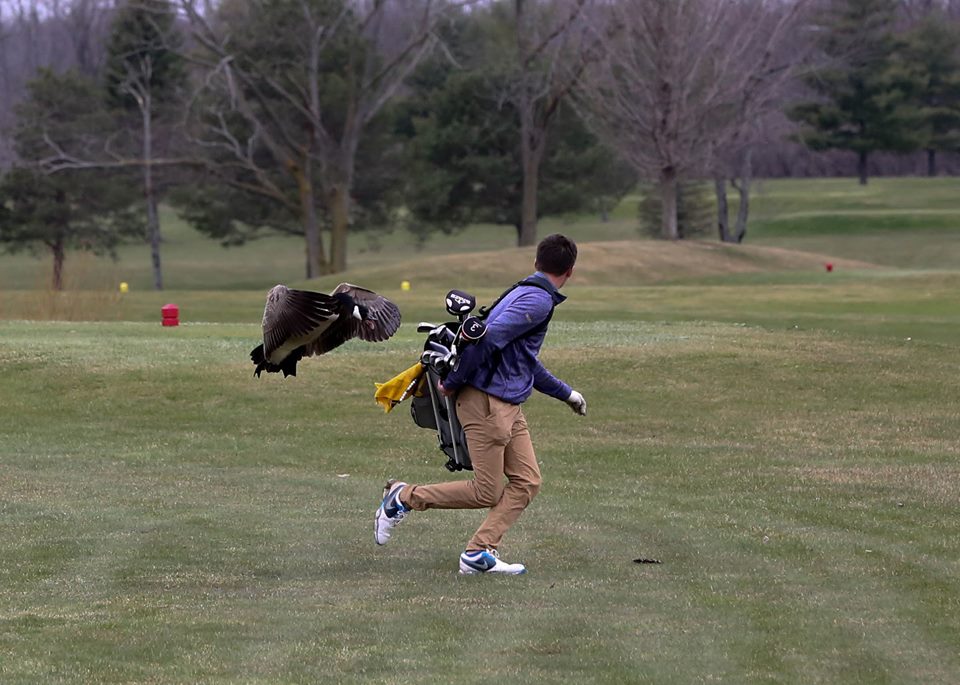 gansos-golf