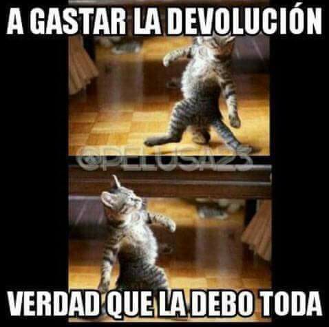 devolucion-impuestos-memes12