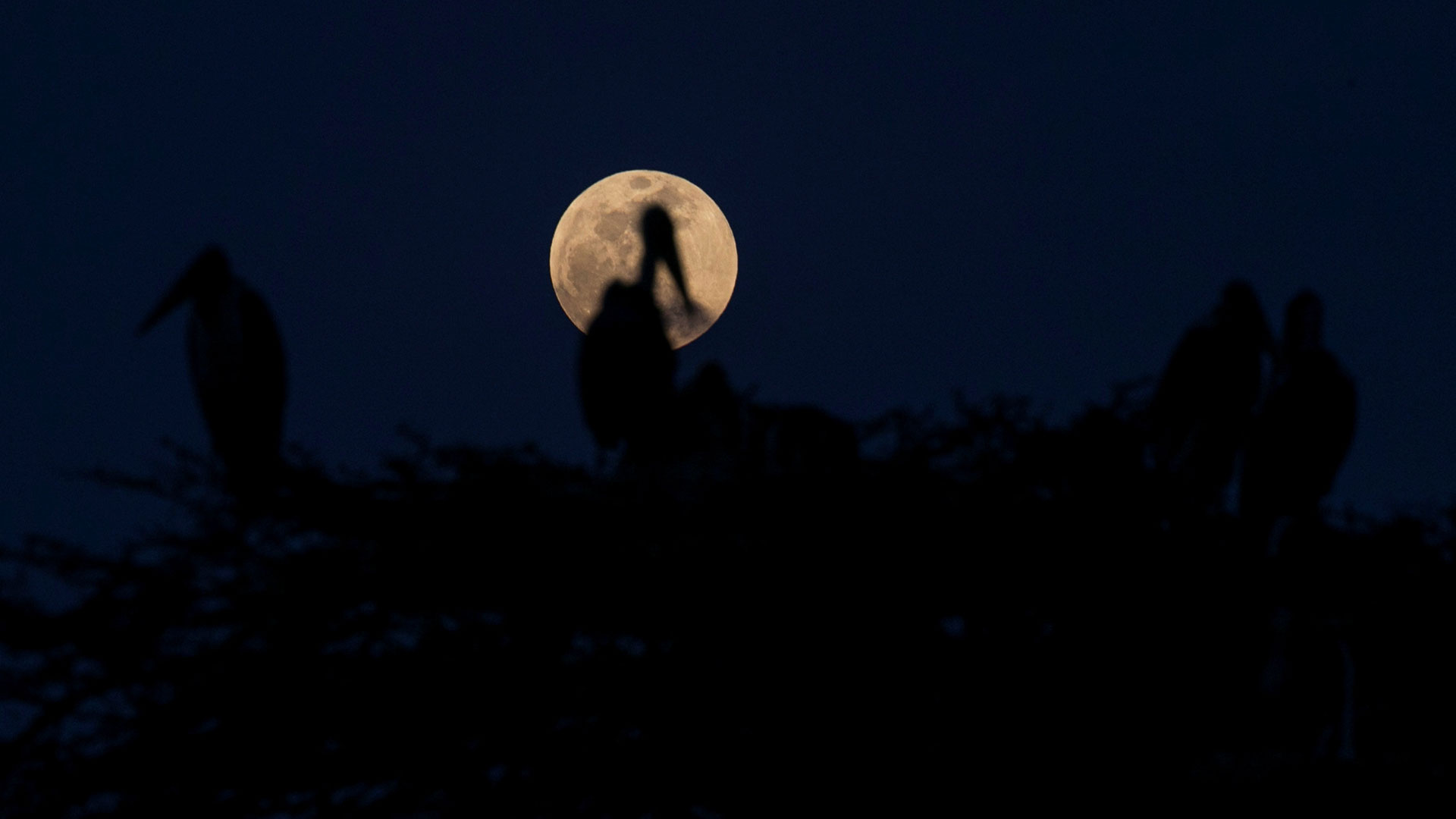 luna-de-sangre9