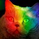 Fotos: Estas son las mejores y más sorprendentes imágenes de animales de julio 2018