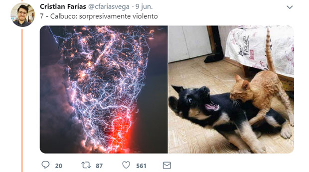volcanes-gatos5