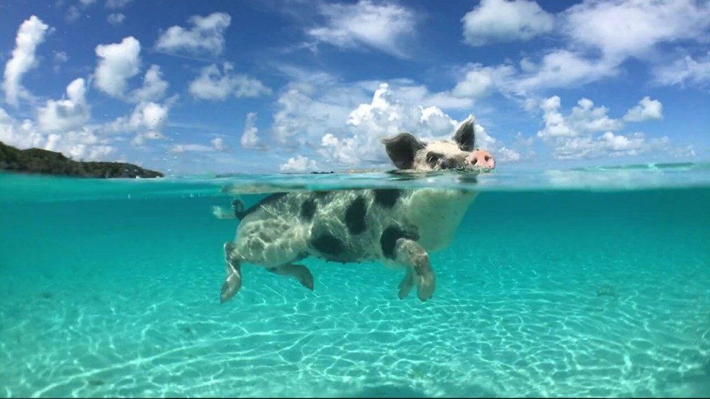 mejores-playas-mundo9