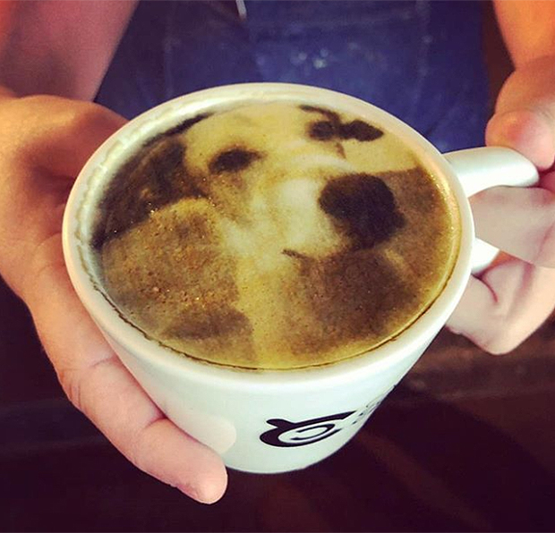 selfieccino2