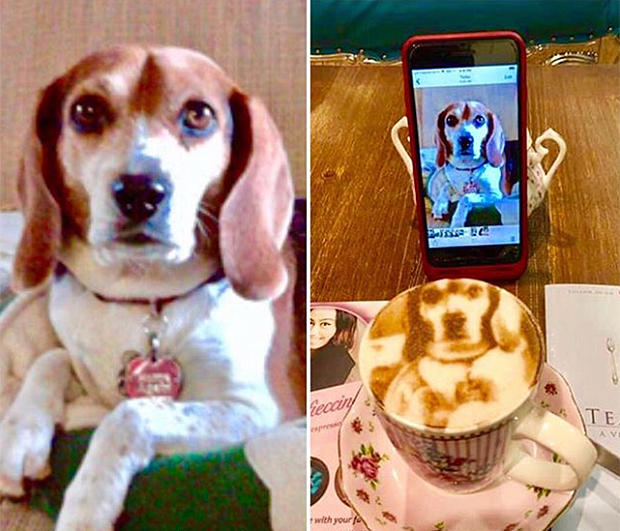 selfieccino8