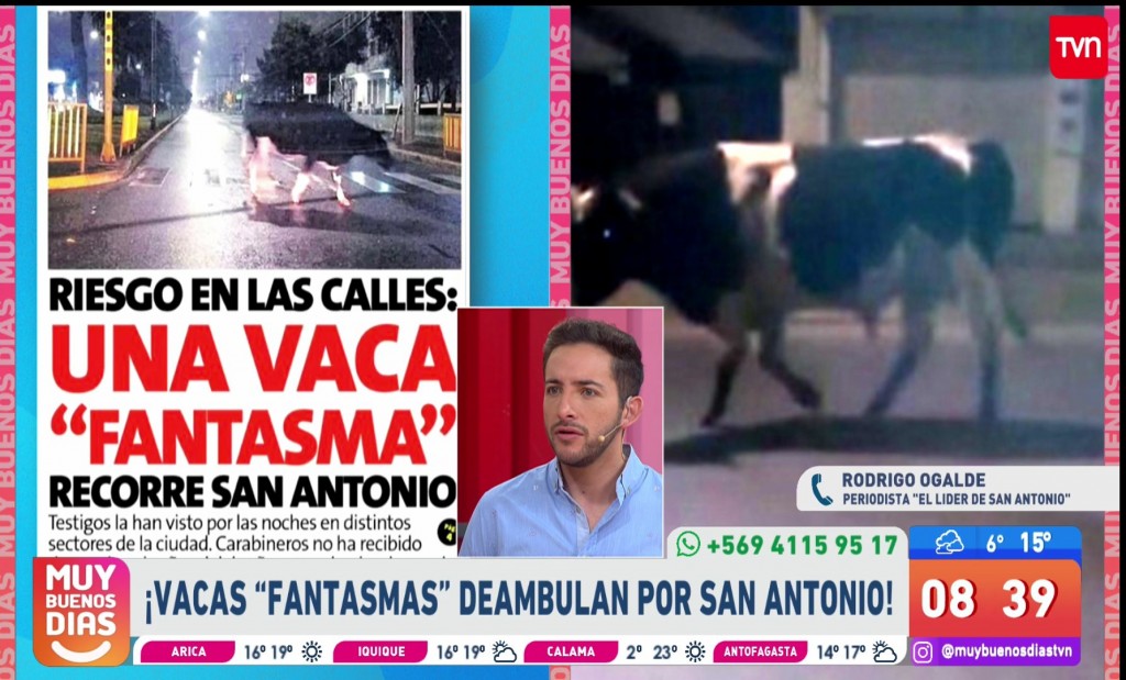 pantallazos2019-7