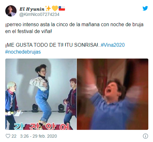 festival-vina-memes1