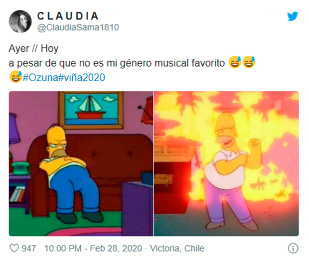festival-vina-memes7