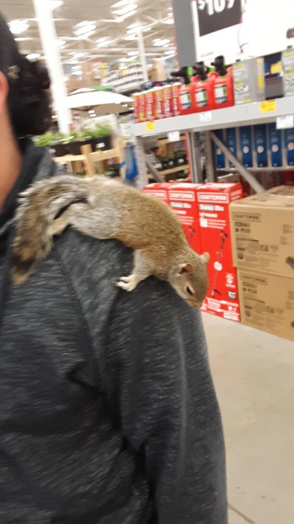 walmart-curiosidades8