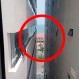 Turistas y algunas de las peores experiencias en un hotel: Para pensarlo dos veces antes de reservar