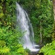Indignación por turistas que “tallaron” burdamente sus iniciales en milenario alerce del Parque Pumalín