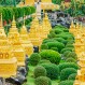Fotos de algunos de los jardines más hermosos que han sido compartidos en redes sociales