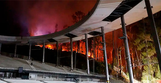 incendio-vina-11