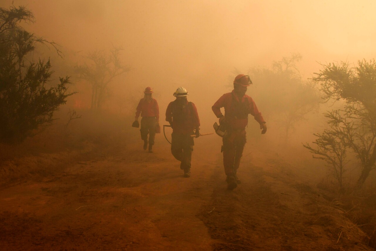 incendio-vina-7