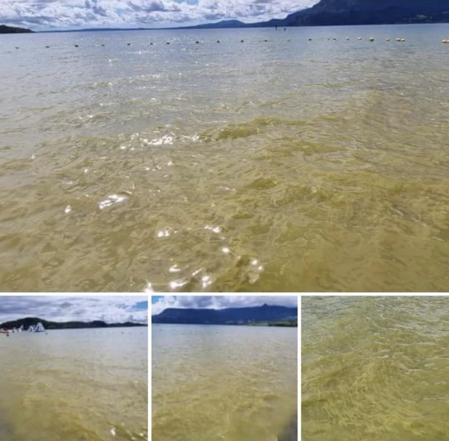 Lago-villarrica-contaminacion