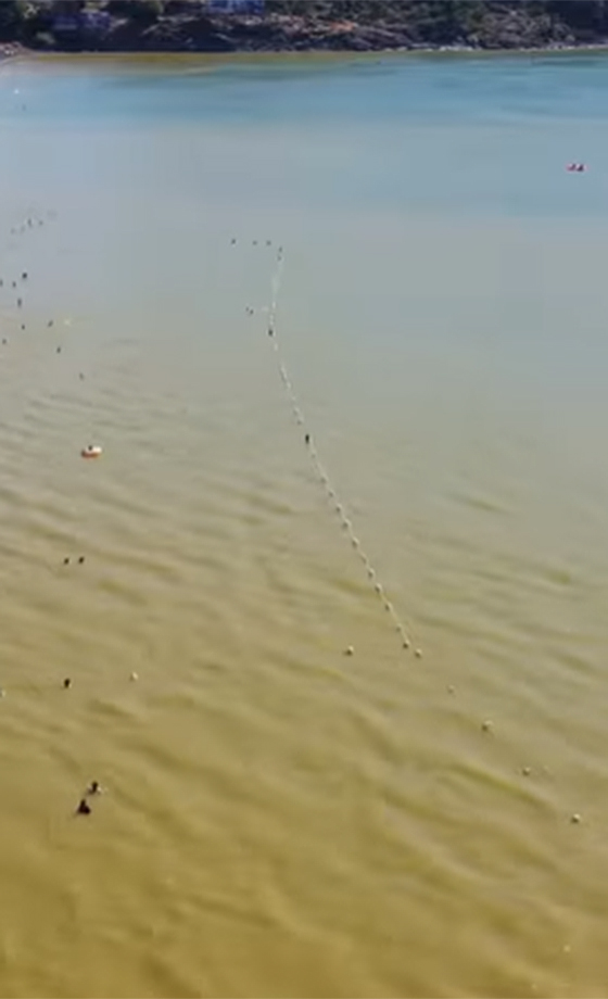 Lago-villarrica-contaminacion4