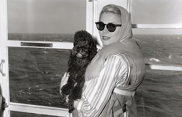 celebridades-perros10