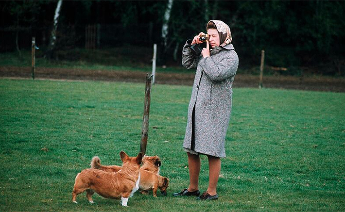 celebridades-perros13