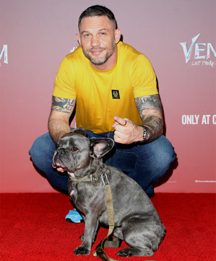 celebridades-perros2