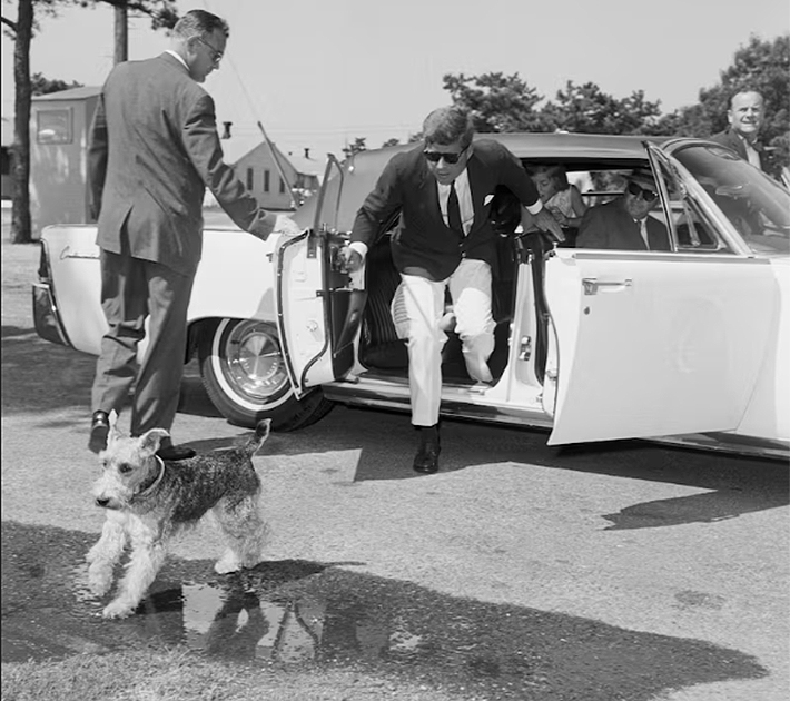 celebridades-perros4