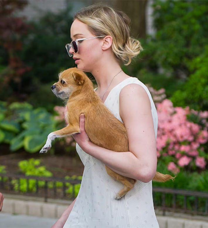 celebridades-perros5