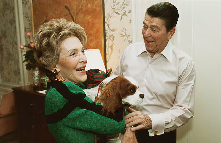 celebridades-perros6