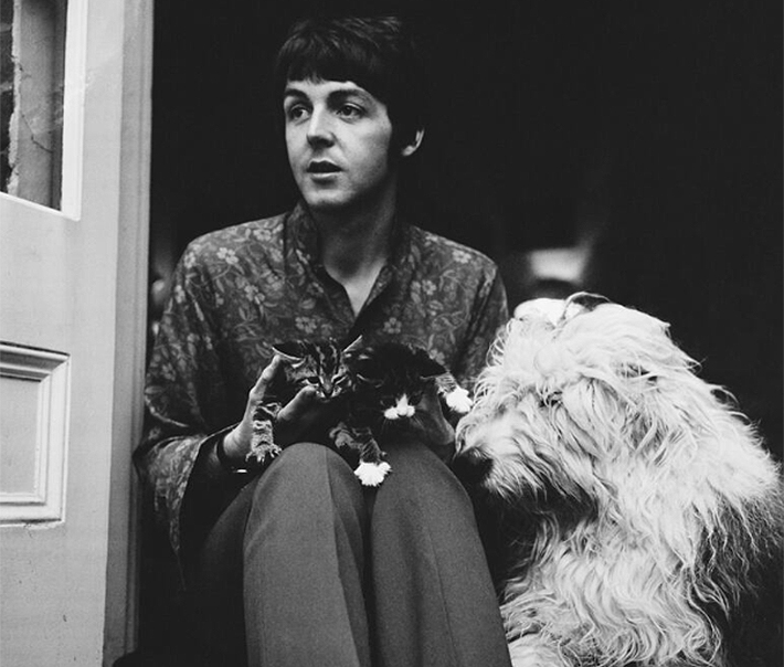 celebridades-perros7