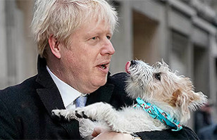 Celebridades y sus perros: Fotos ic&oacute;nicas de famosos amantes de sus mascotas