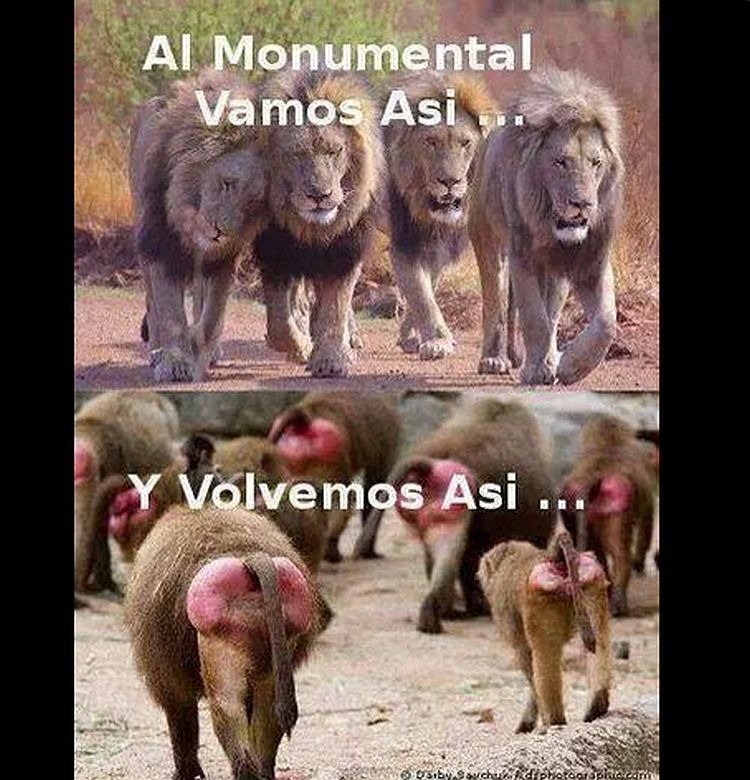 memes-clasico-u-colocolo-13