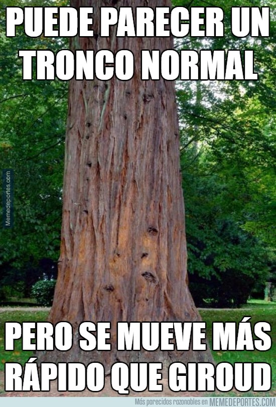 francia-alemania-memes-7