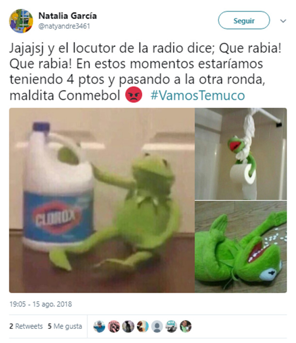 temuco-memes3