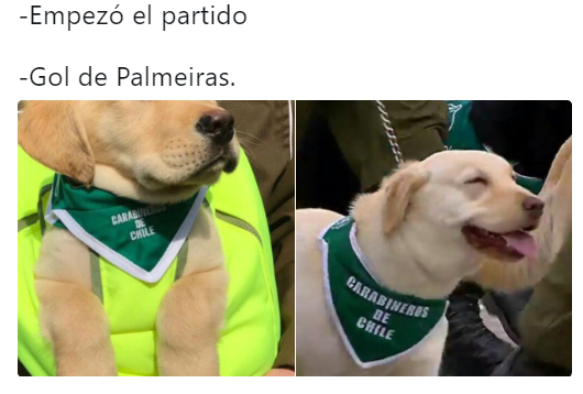 colo-colo-palmeiras-memes2