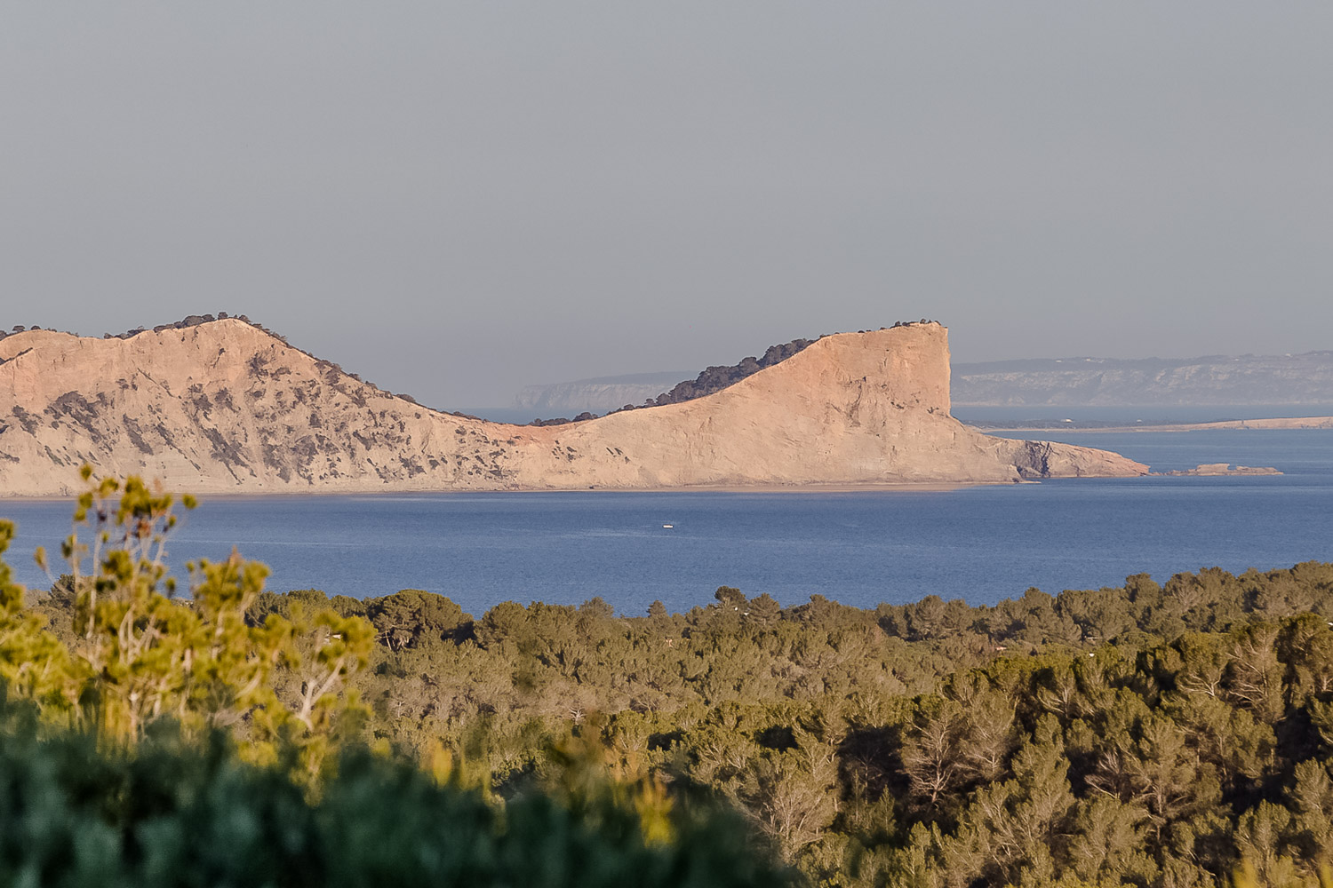 vidal-ibiza-fotos7