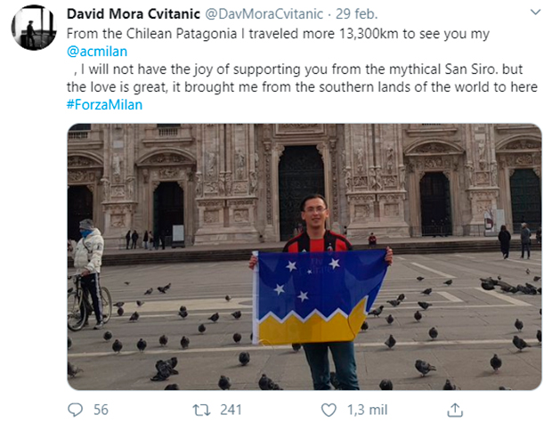 david