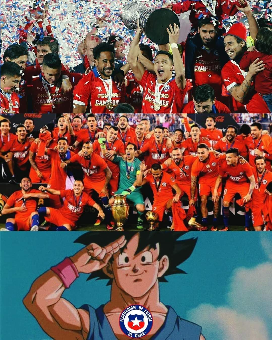 chile-eliminado14