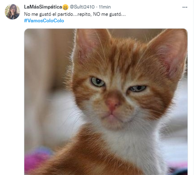 colo-colo-eliminado-memes4